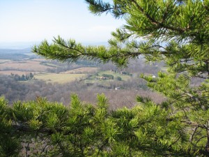 Hike